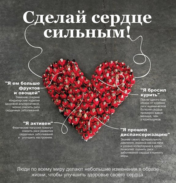 Памятка по профилактике заболеваний сердечно сосудистой системы