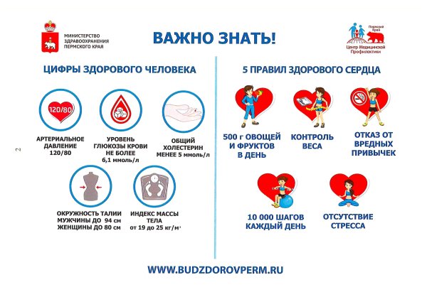 Буклет профилактика сердечно-сосудистых заболеваний