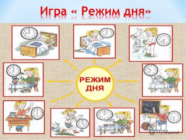 Распорядок дня