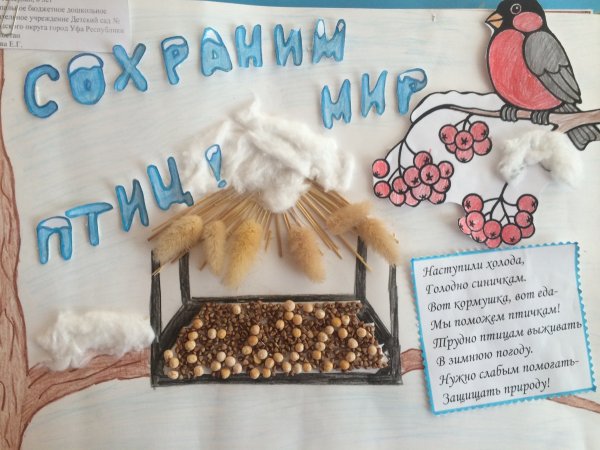 Акция Покормите птиц зимой