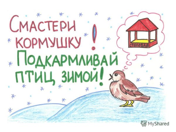 Плакат кормушка для птиц