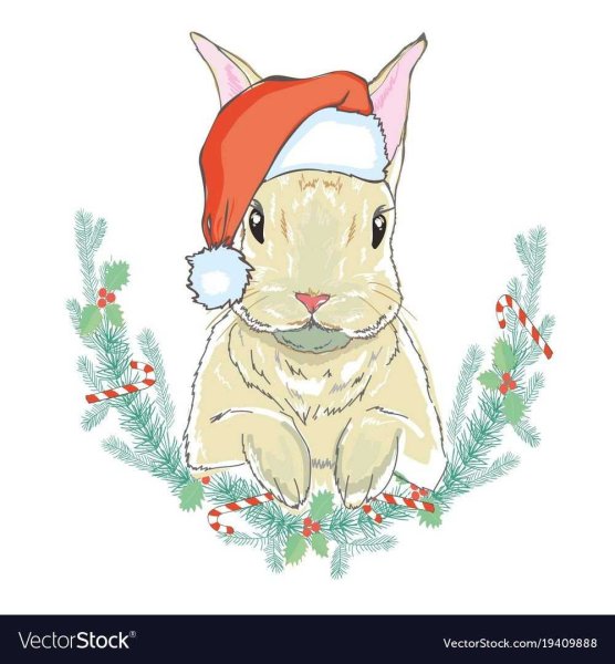 Кролик в новогодней шапочке