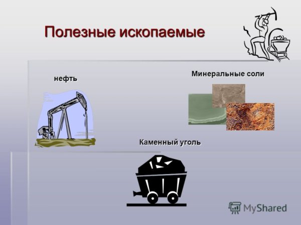 Полезные ископаемые