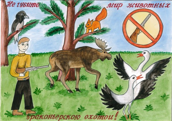 Плакат охрана животных