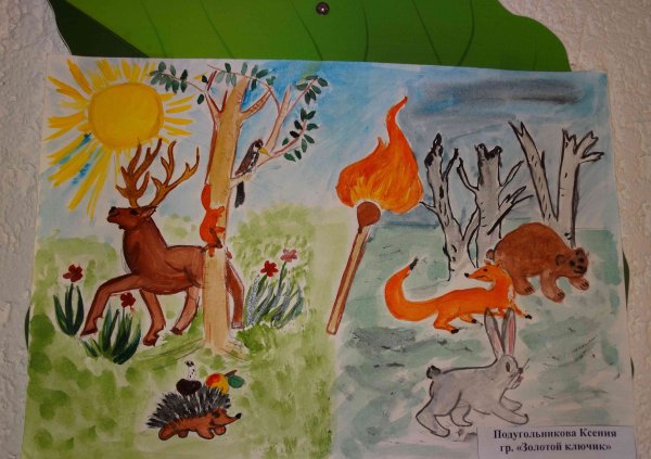 Плакаты о защите природы и животных