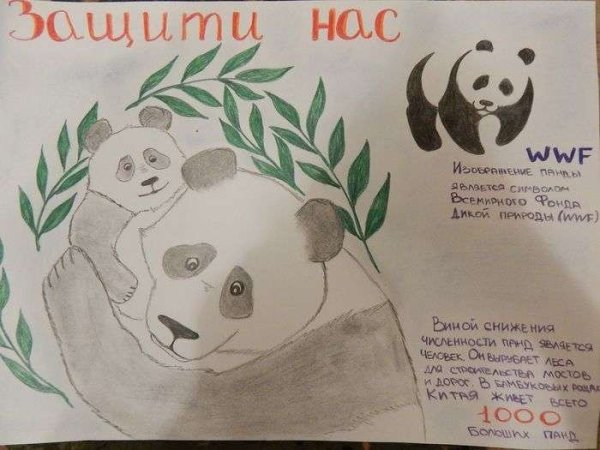 Плакат на тему защита животных и растений