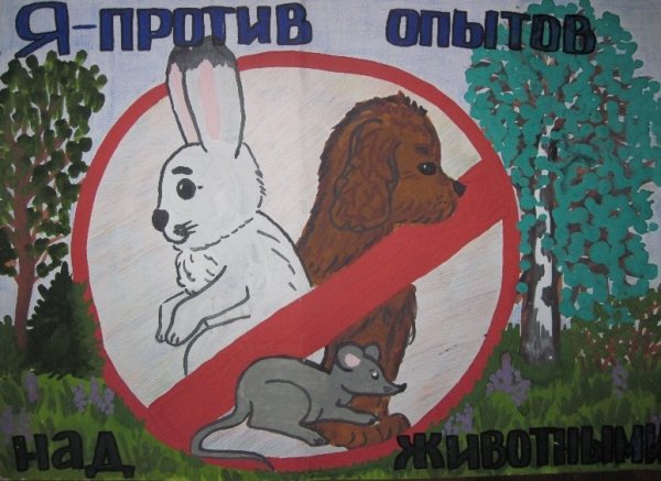 Плакат береги животных