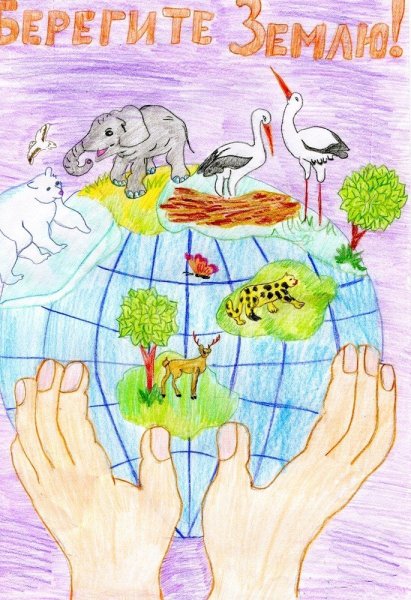 Плакат берегите животных