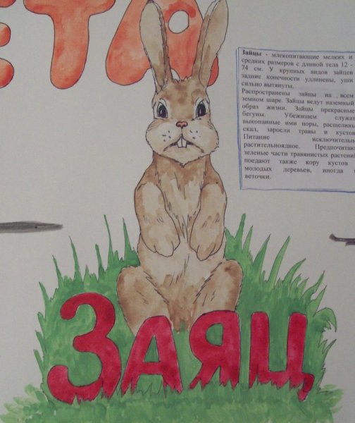 Плакат для детей заяц