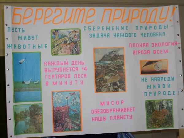 Плакатытна тему экологии