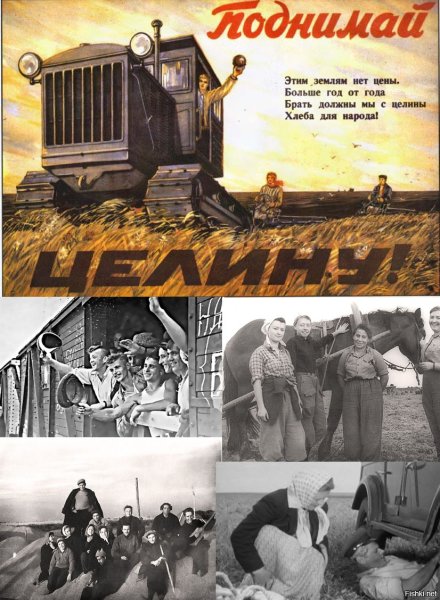 Освоение целины в Казахстане 1954-1956