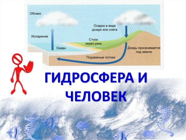 Человек и гидросфера проект
