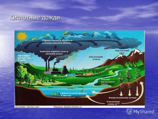 Гидросфера и человек