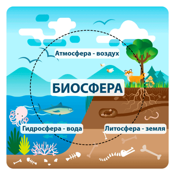 Биосфера плакат