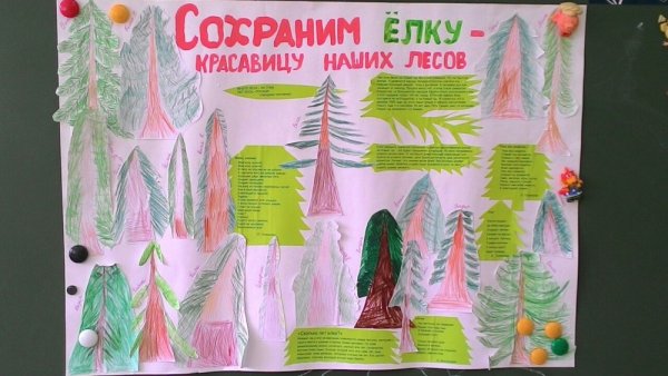 Листовки в защиту елок