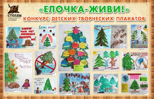 Листовка в защиту ели