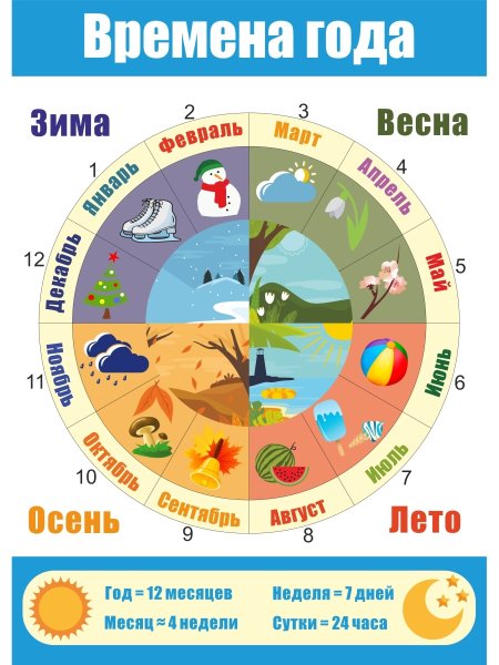 Плакат времена года для детского