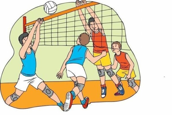 Спортивные секции волейбол