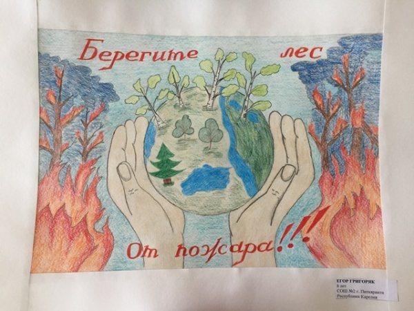 Рисунок на тему береги лес