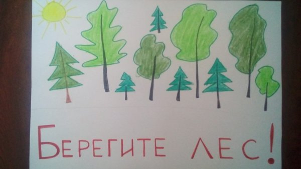 Берегите лес