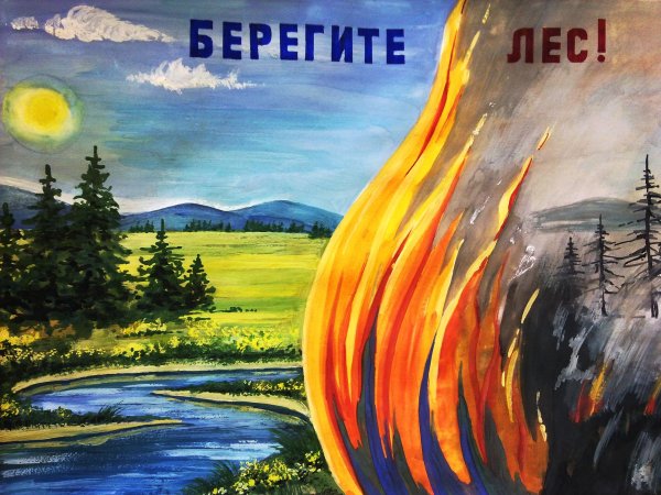 Сбережем лес