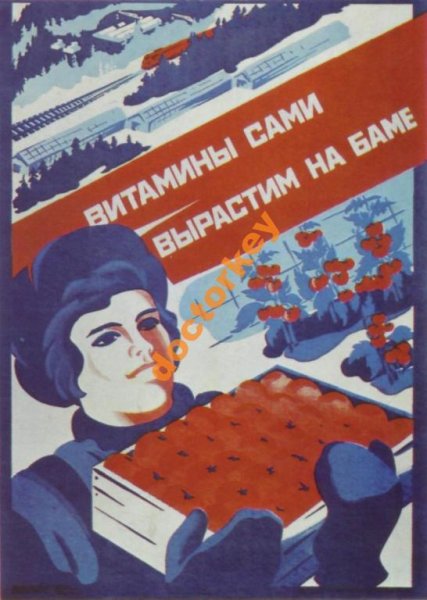 БАМ Комсомольская стройка