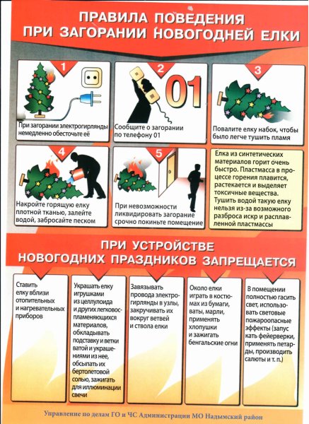 Правила поведения на новогодних праздниках