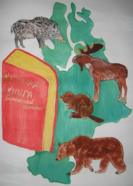 Иллюстрации краснокнижных растений и животных