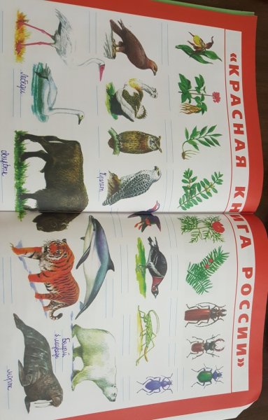 Экологический плакат земля наш общий дом