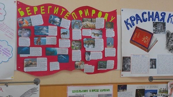 Плакат берегите животных