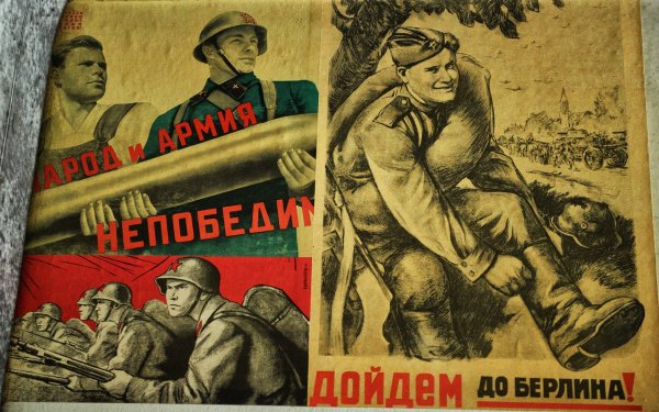 Плакат дошли