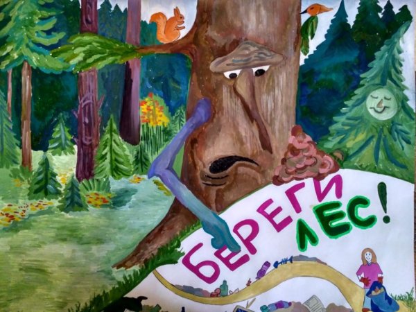 Рисунок на тему берегите лес