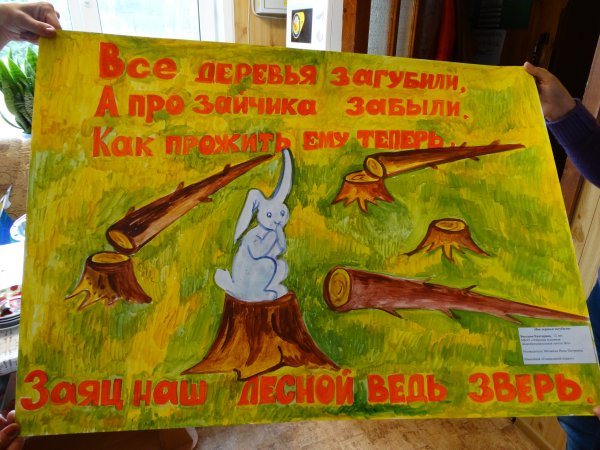 Сбережем лес от пожара плакаты