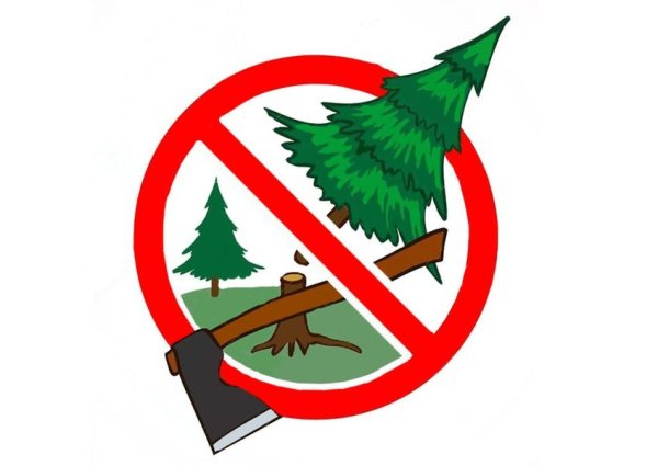 Креативные постеры