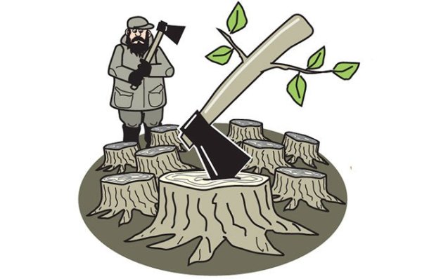 Обезлесение Дании