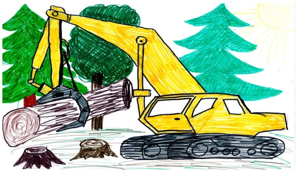 Охрана леса