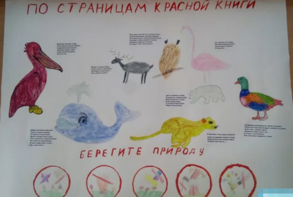 Плакат животные красной книги