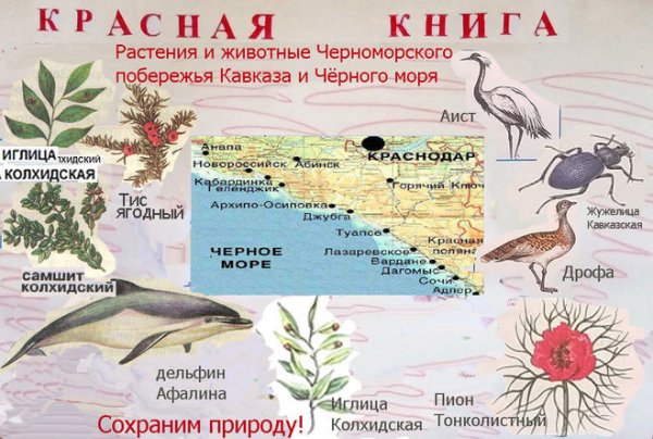 Плакат берегите животных