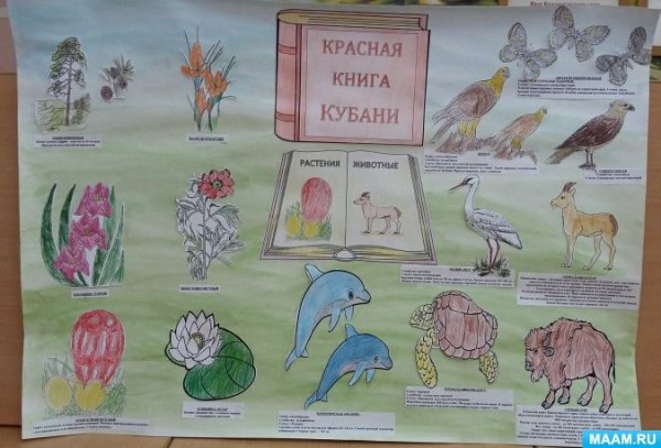 Плакат на тему красная книга