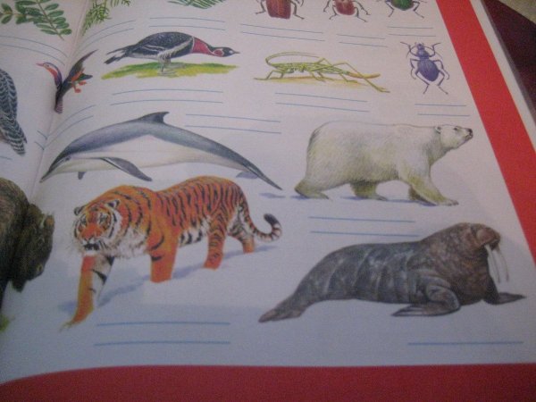 Красная книга рисунок