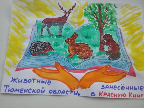 Лэпбук красная книга