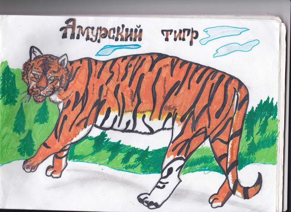 Окруж мир проект красная книга 2 класс