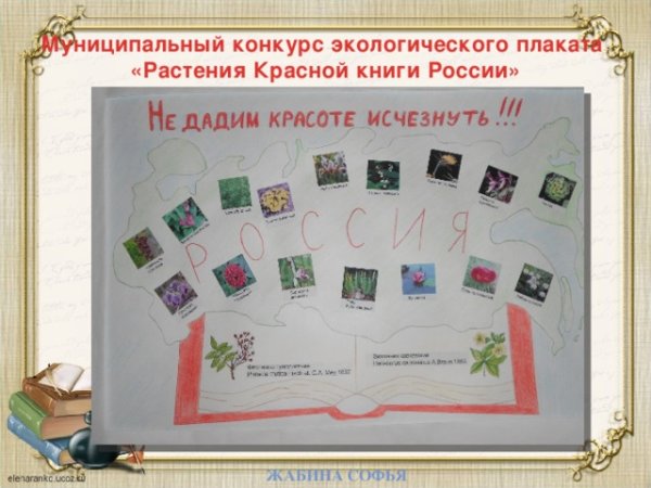 Красная книга России животных Амурский тигр