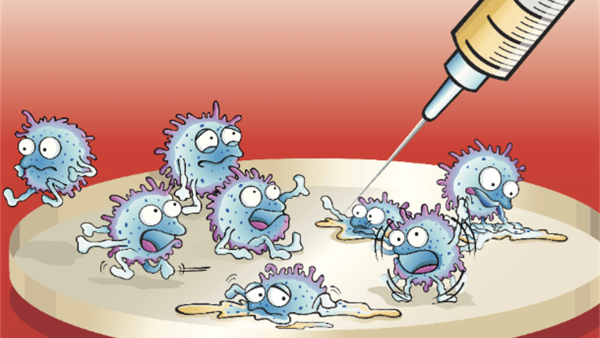 Смешные бактерии