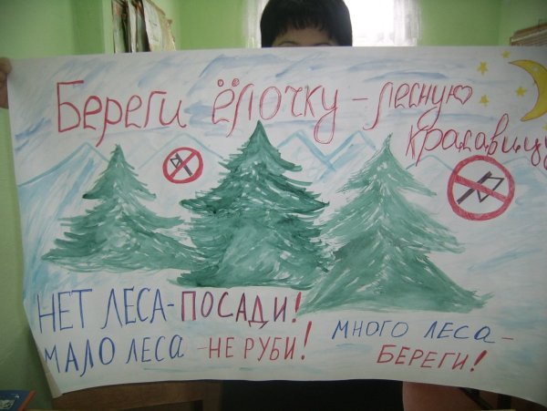 Плакат в защиту елок