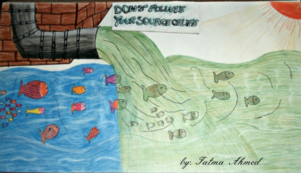 Рисунок на тему защита воды