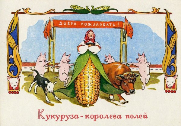 Кукуруза царица полей Хрущев