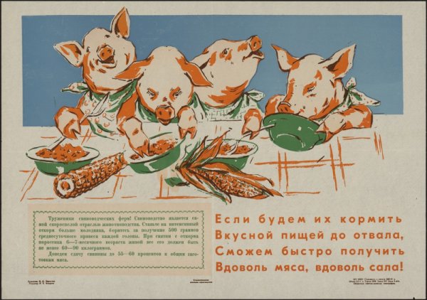 Кукуруза царица полей Хрущев