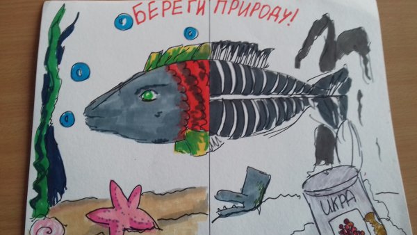 Плакат берегите животный