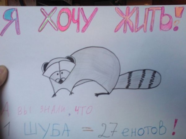 Рисунок ко Дню защиты животных